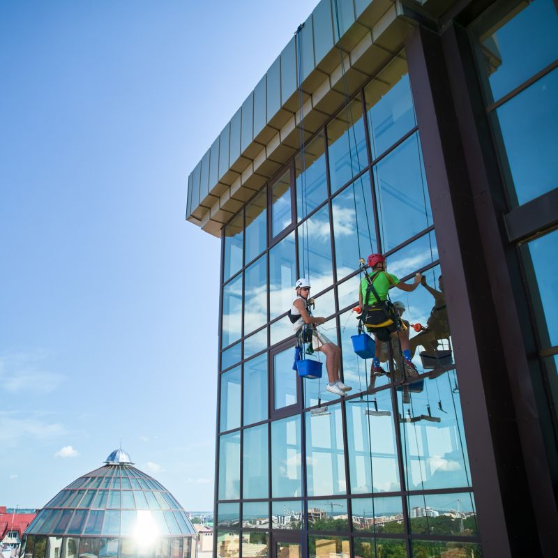 Expert Window Cleaning Team
